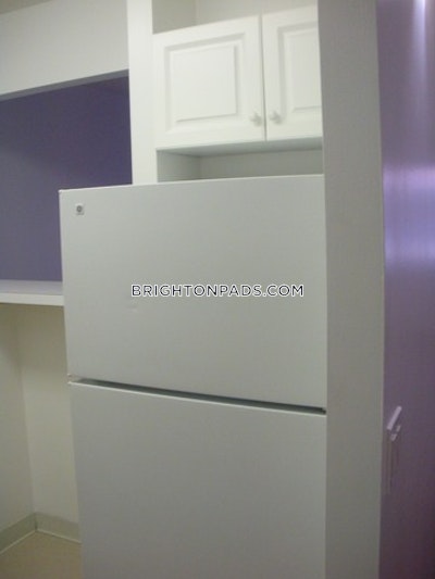 Brighton Apartment for rent 1 Bedroom 1 Bath Boston - $3,125 No Fee