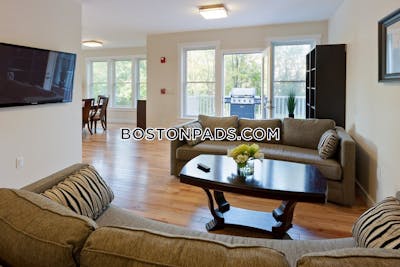 Cambridge Apartment for rent 3 Bedrooms 2 Baths  Mt. Auburn/brattle/ Fresh Pond - $5,500 No Fee