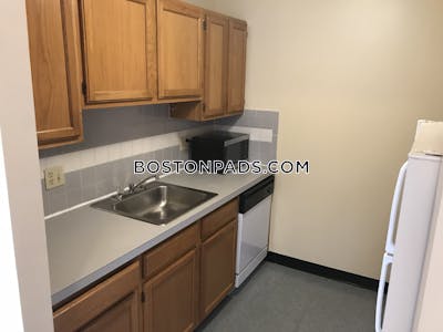Cambridge Apartment for rent 1 Bedroom 1 Bath  Harvard Square - $3,100 No Fee